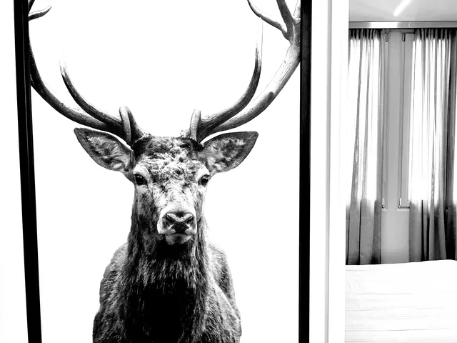 Dettagli di design - Suite Falier - Venezia